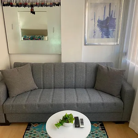 Apartment Oasis Center *